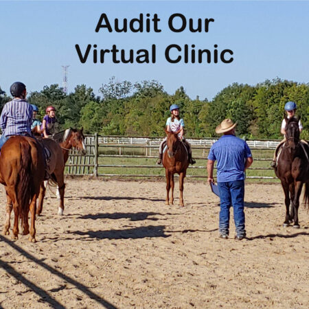 Virtual Clinic Auditor Spot