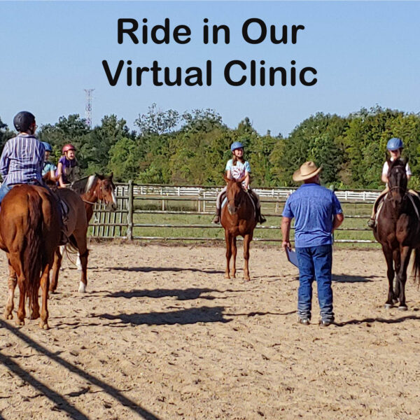 Virtual Clinic Riding Spot