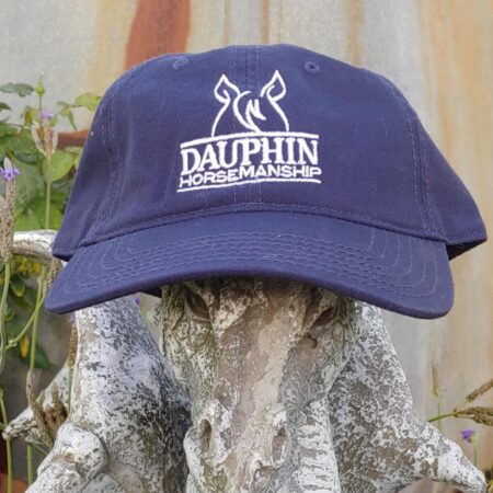 Navy Soft Top Ball Cap with DH Logo