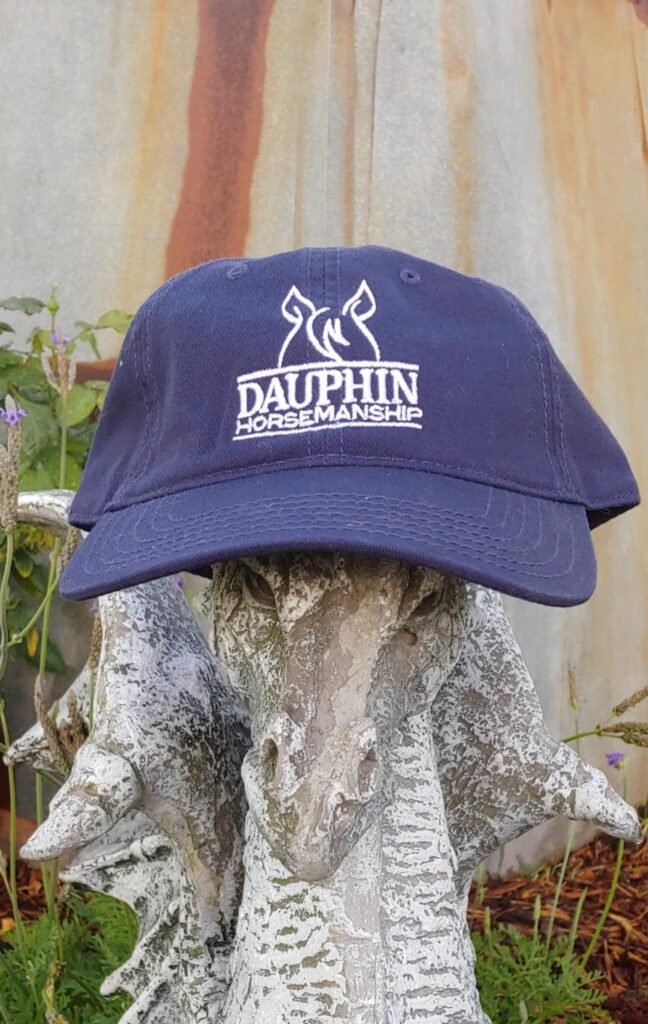 Navy Soft Top Ball Cap with DH Logo