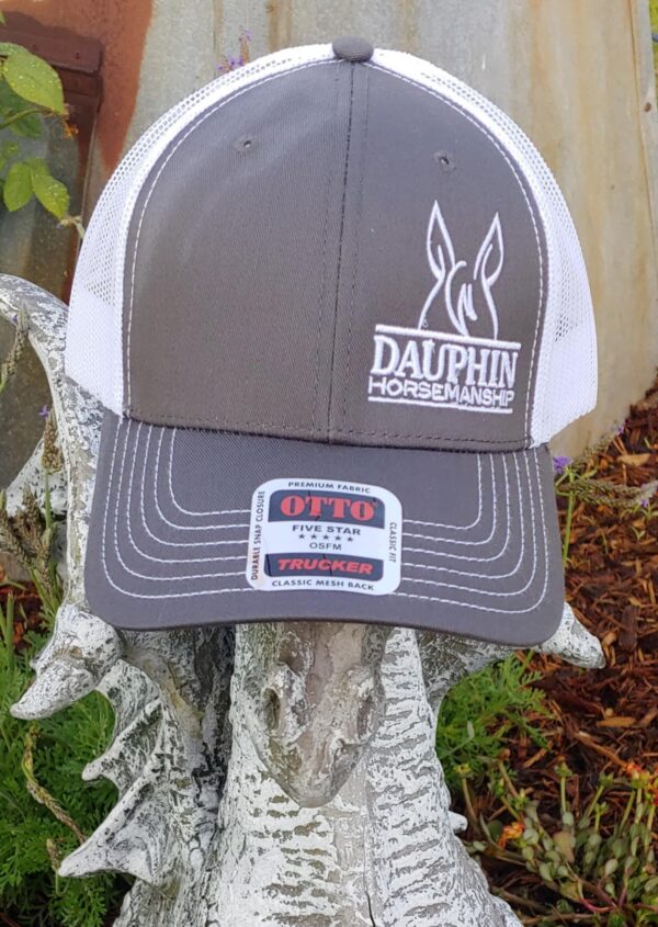 Grey and White Ball Cap w/ DH Logo