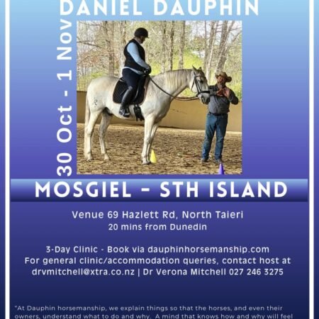 Mosgiel, Dunedin, South Island Small Groups Clinic, Oct 30-31