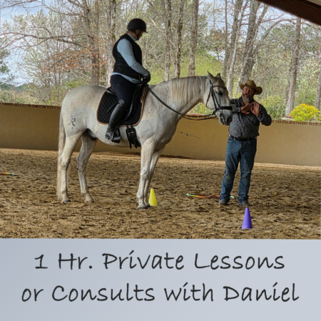 Oct 26th Selwyn, NZ, South Island, Private Lessons/Bitting Consults