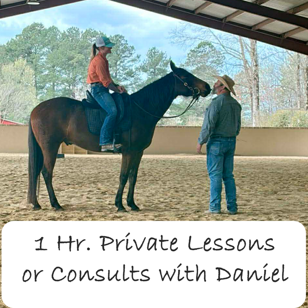 Elimbah, Sunshine Coast, QLD, Private Lessons/Consults Dec 6th