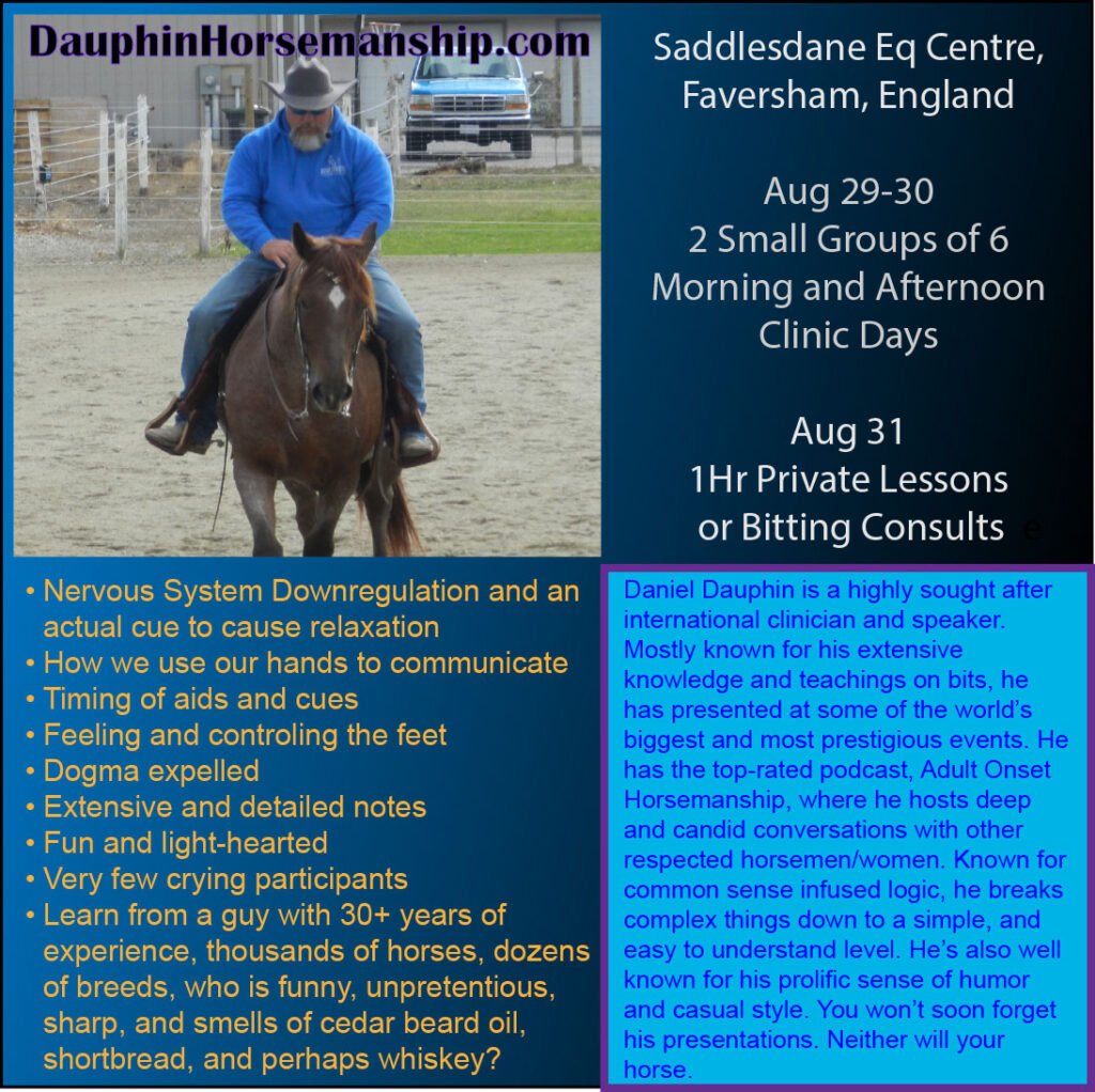 Saddlesdane Equestrian Centre, Faversham, England Aug 29-30 Small Group Clinics