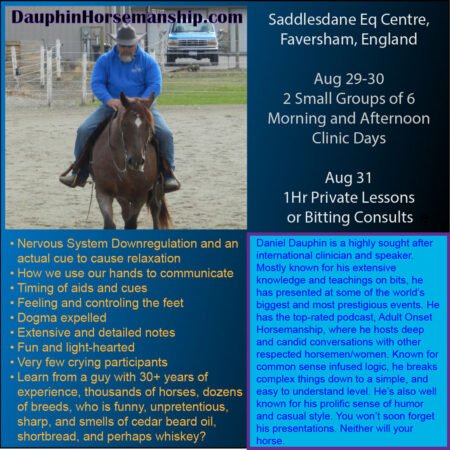 Saddlesdane Equestrian Centre, Faversham, England Aug 29-30 Small Group Clinics