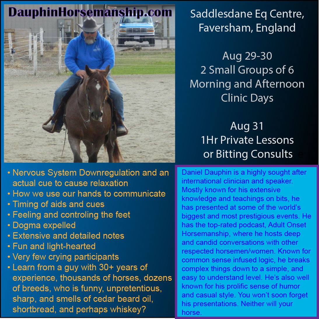 Saddlesdane Equestrian Centre, Faversham, England Aug 31 Private Lessons/Consults