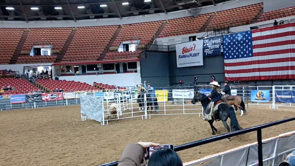 Trafalgar, SE Vic, Cutting Clinic Nov 14-15