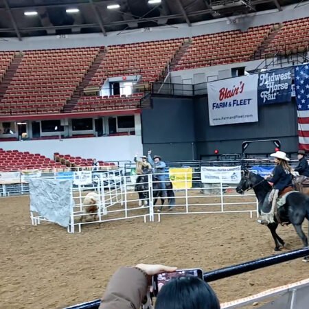 Trafalgar, SE Vic, Cutting Clinic Nov 13-15